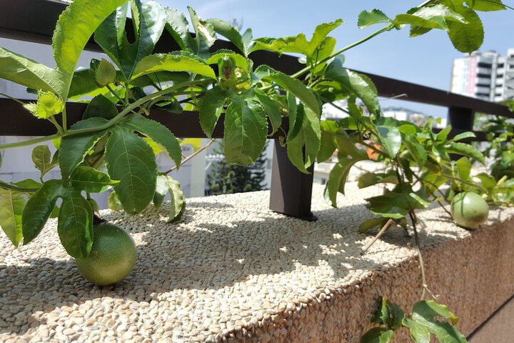Terrace/Patio 29 of 59