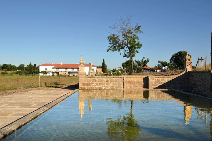 Hotel Pool