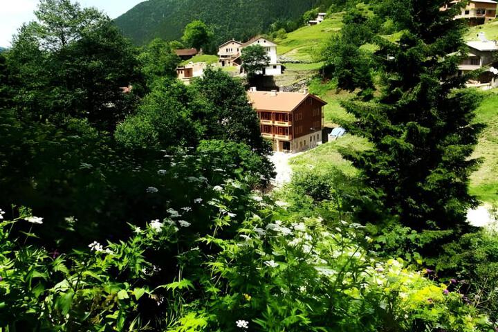 Photo 28