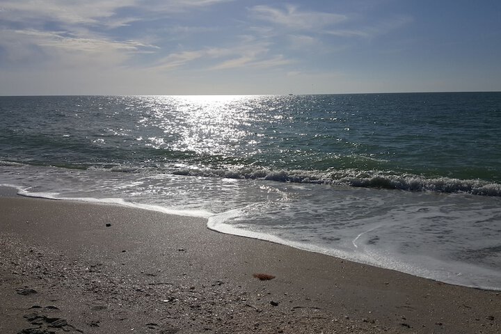 Beach 197 of 236