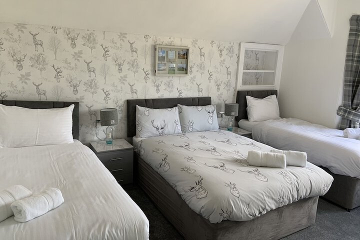 Room 15 of 51