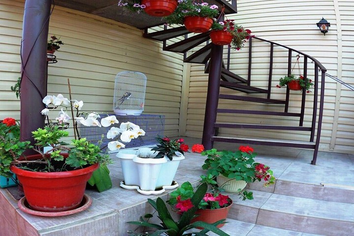 Terrace/Patio 1 of 23