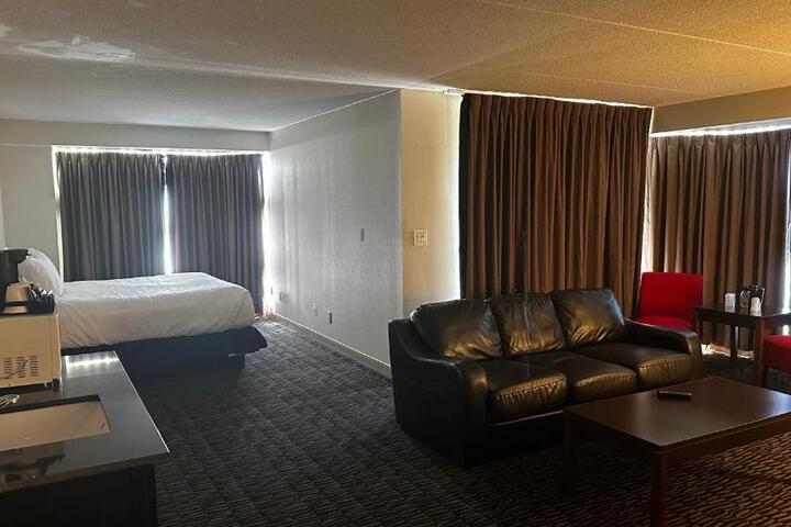 Suite 1 King Bed (10 of 20)