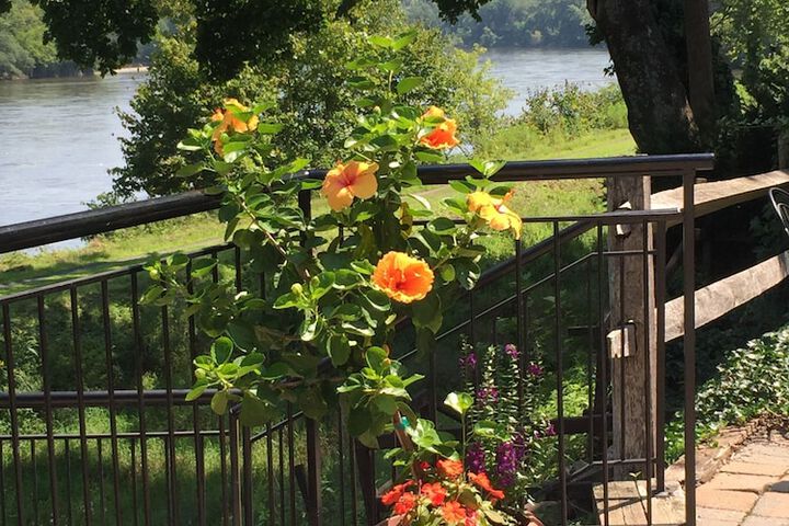 Property Grounds 59 of 73