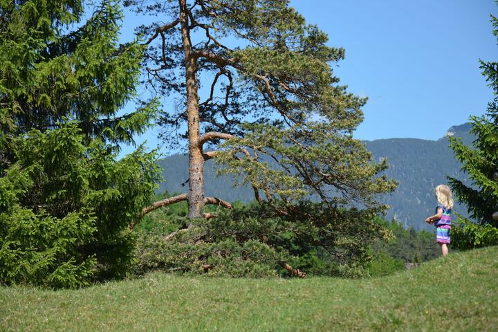 Hiking