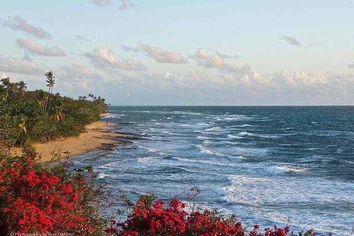 Beach 31 of 36
