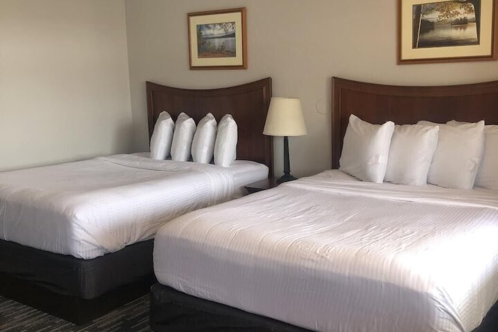 Room 12 of 61