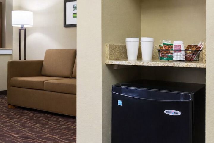 Mini-refrigerator