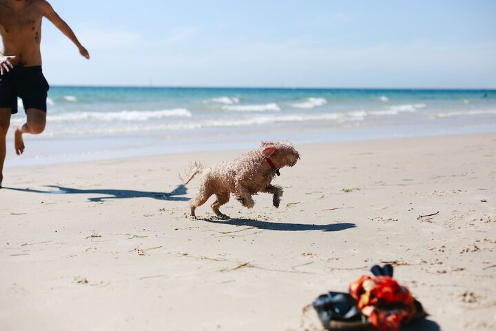 Beach 46 of 52