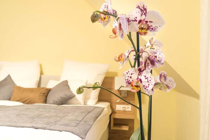 Room 16 of 58