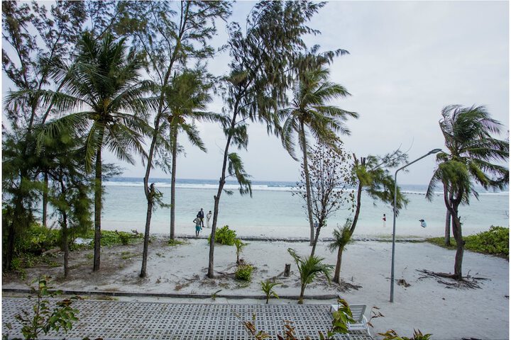 Beach 84 of 95