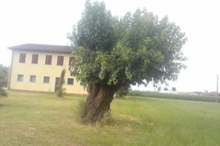Agriturismo Ceppo