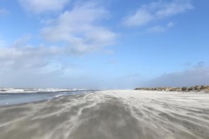 General 11 of 27
