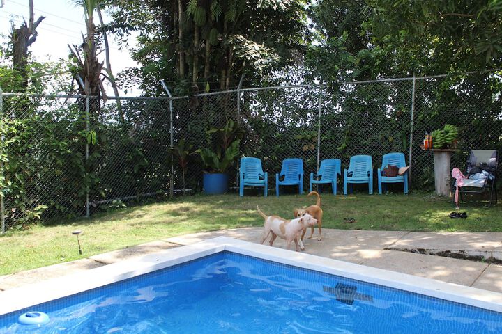Pool 20 of 46