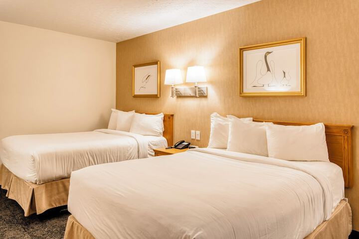 Room 8 of 25