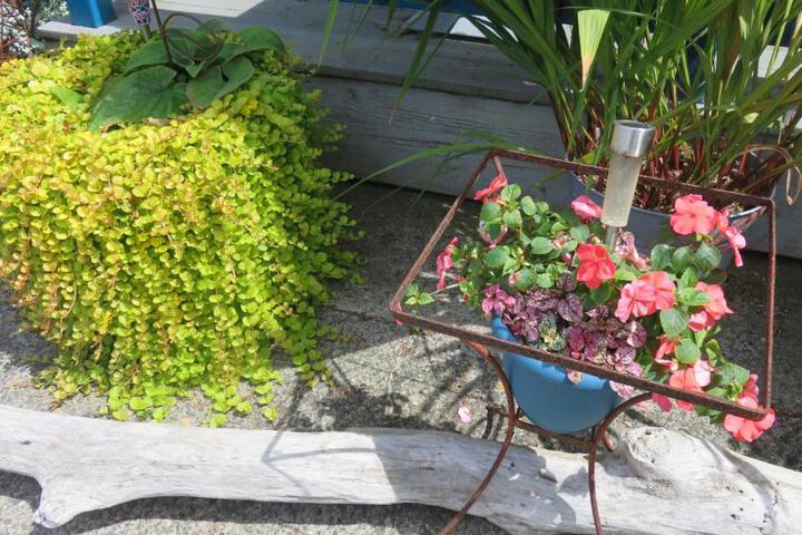 Photo 58