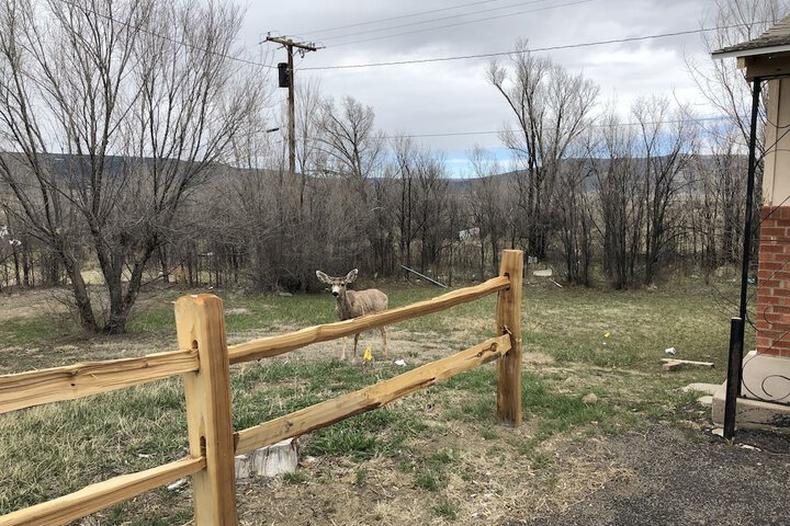 Property Grounds 18 of 27