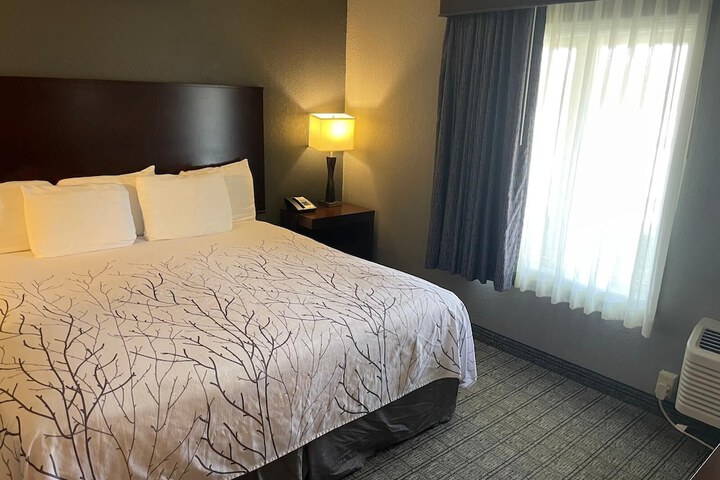 1 King Bed Accessible (3 of 31)