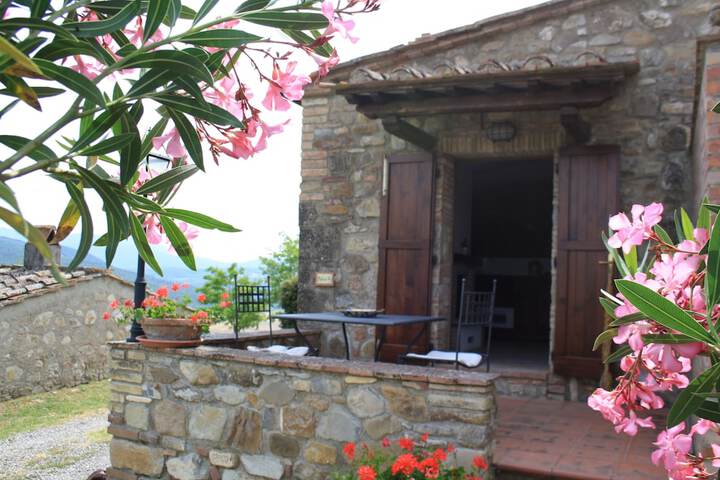 Terrace/Patio 56 of 70