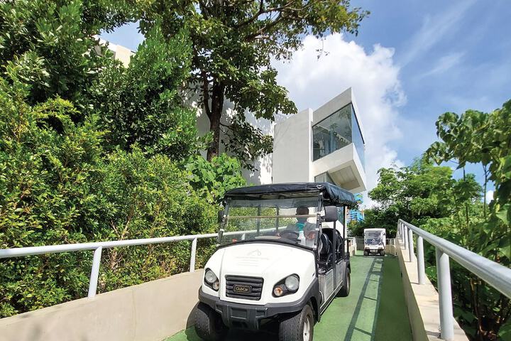 Golf 25 of 77