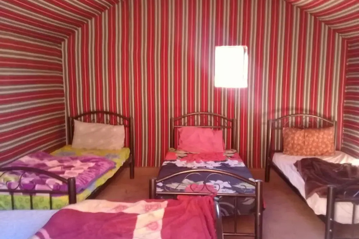 Wildlife Camp