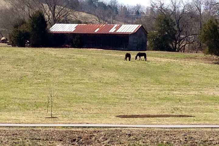 View from property