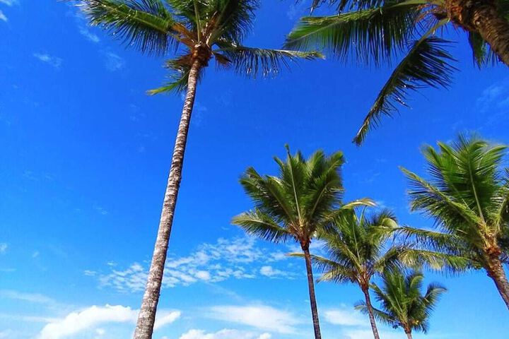 Beach 120 of 129