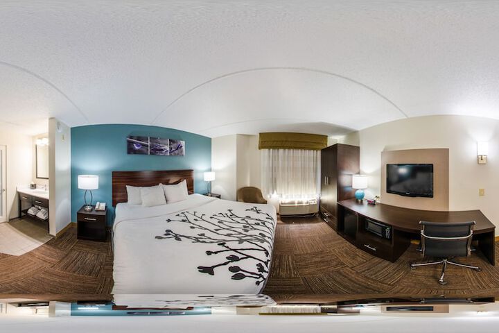 1 King Bed (6 of 10)