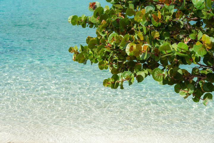 Beach 81 of 156