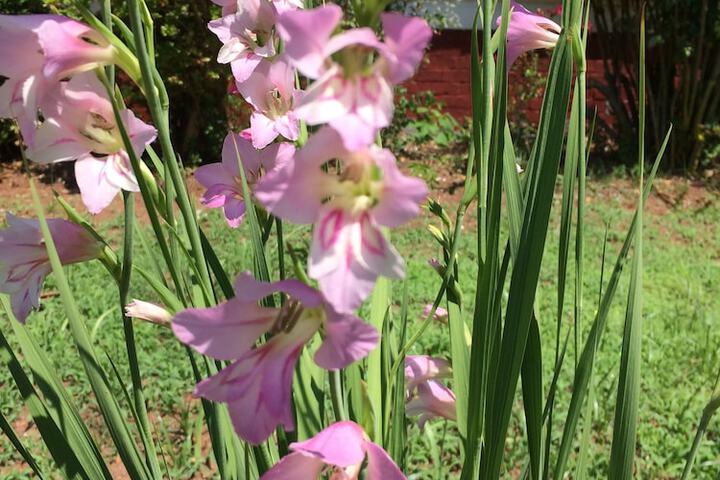 Property Grounds 64 of 75