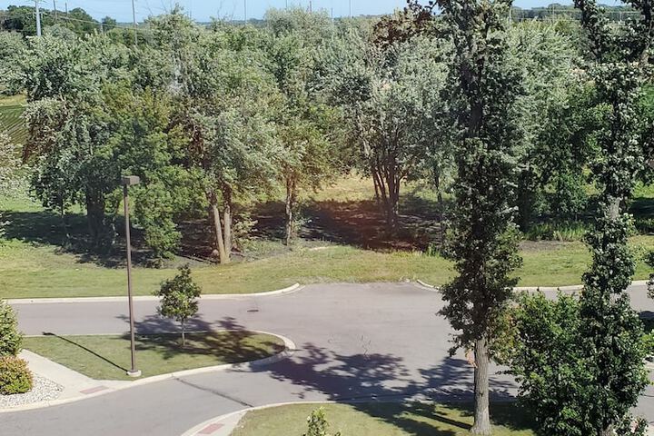 Property Grounds 82 of 85