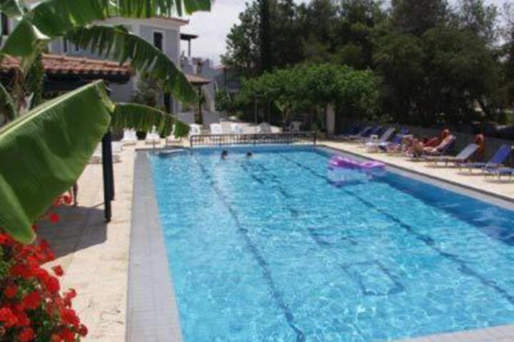 Photo 23