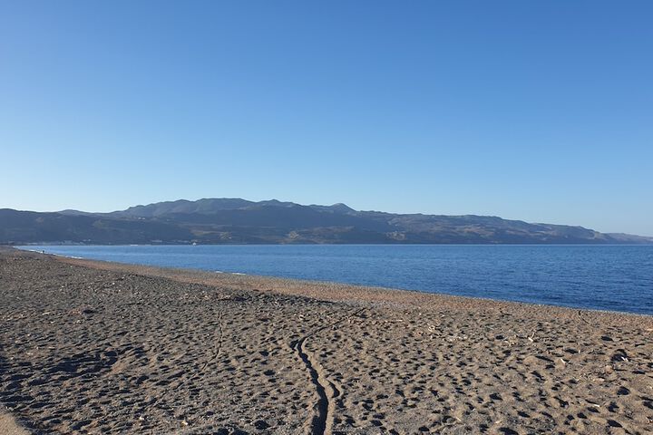 Beach 14 of 23