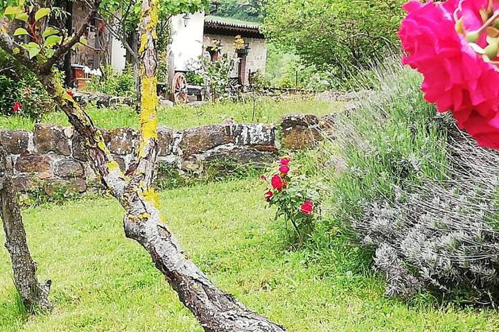 Spa and Wellness Pictures