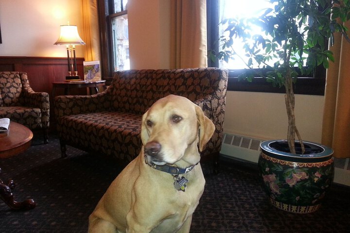 Pet Friendly 27 of 54