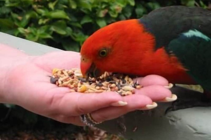 Hotel Exterior 5 of 7