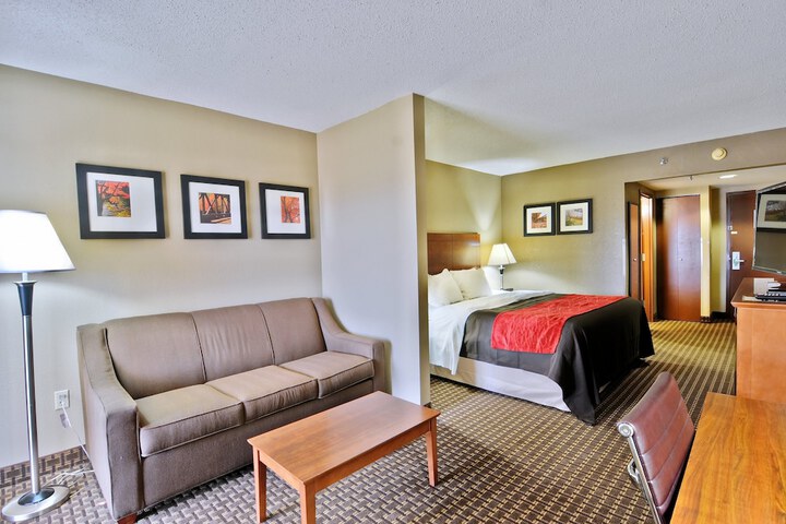 1 King Bed Accessible (16 of 23)