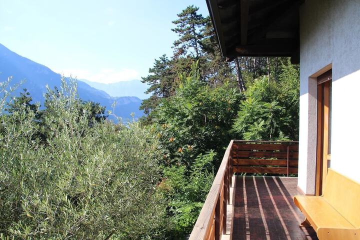 Terrace/Patio 11 of 22