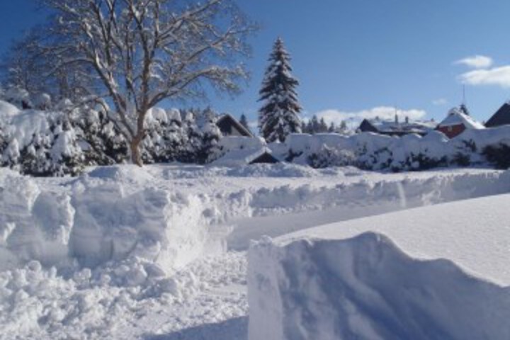 General 22 of 40