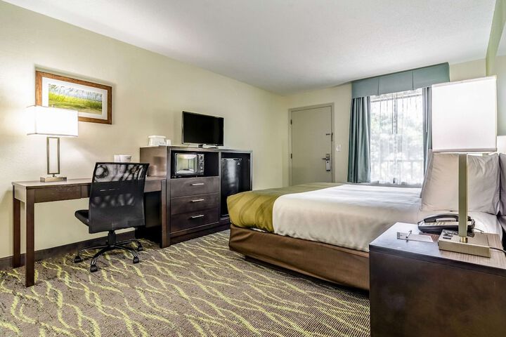 1 King Bed (6 of 9)