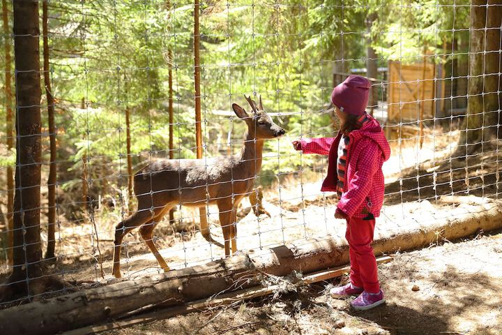 Outdoor Activities 212 of 262