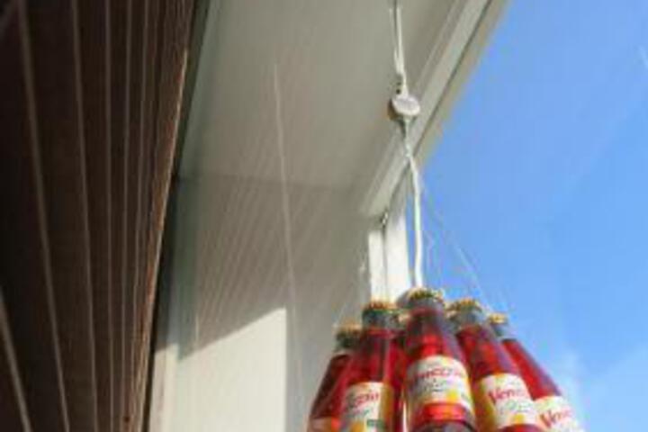 Photo 12