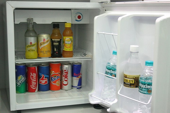Mini-refrigerator