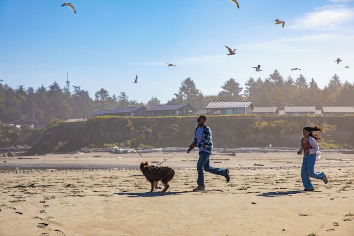 Pet Friendly 34 of 91