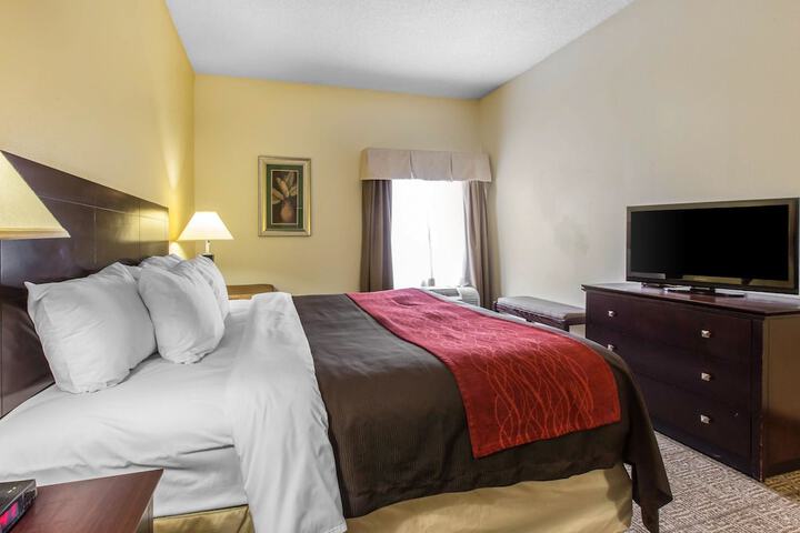 1 King Bed Accessible (8 of 12)