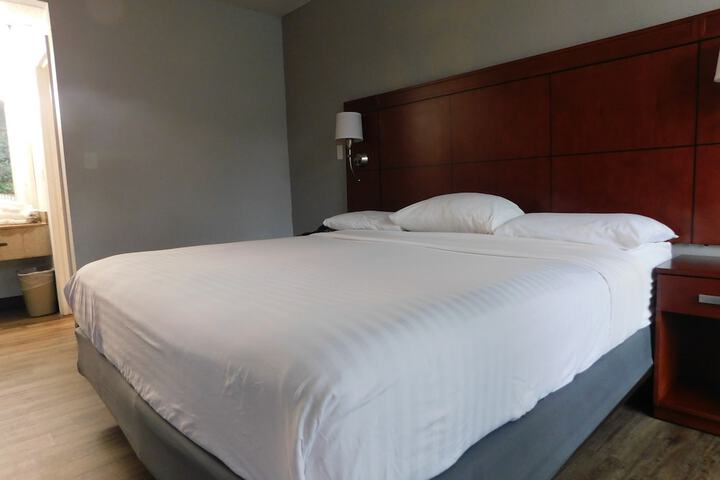 1 King Bed (10 of 10)