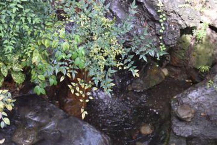 Property Grounds 33 of 33