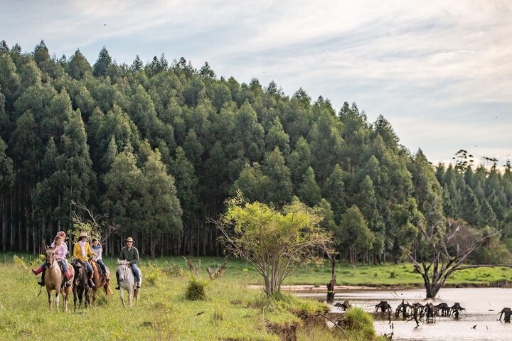 Horseback riding