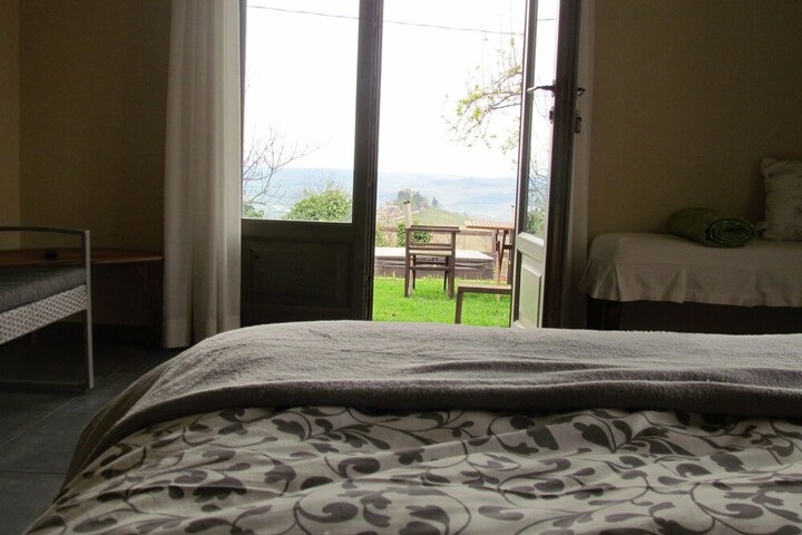 View from room