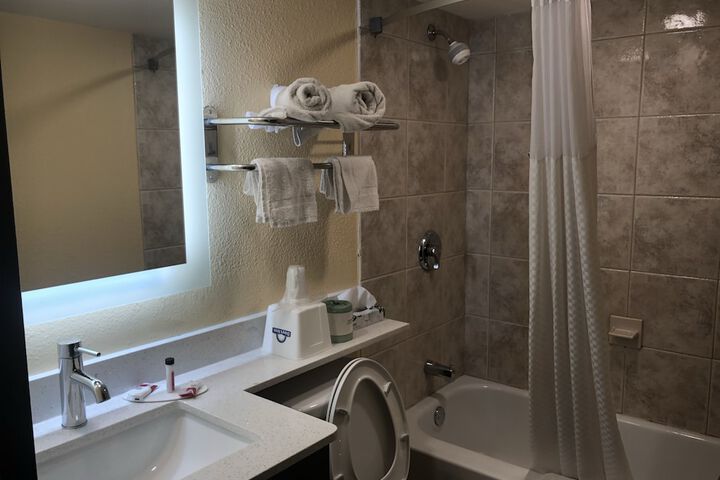 1 King Bed (5 of 8)